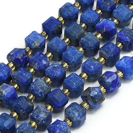 Natural Lapis Lazuli Beads Strands G-I376-D18-01-1