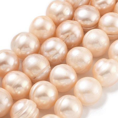 Natural Cultured Freshwater Pearl Beads Strands PEAR-C003-21D-1