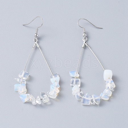 Dangle Earrings EJEW-E255-B24-1