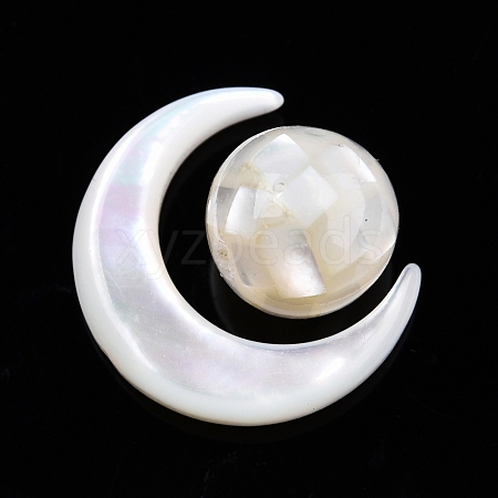 Natural White Shell Beads Set SSHEL-N032-51-B01-1