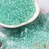 6/0 Transparent Colours Glass Seed Beads SEED-P006-01A-12-1