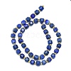 Natural Lapis Lazuli Beads Strands G-I376-D18-01-2