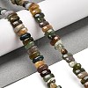 Natural Indian Agate Beads Strands G-Q167-B18-01-2