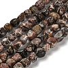 Natural Leopard Skin Jasper Beads Strands G-P497-01E-93-1