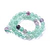Natural Fluorite Beads Strands G-P430-17-D-1