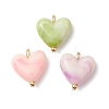 3Pcs 3 Colors Opaque Acrylic Pendants PALLOY-JF03343-02-1