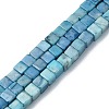 Natural Howlite Beads Strands G-C135-E03-01-1