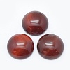 Natural Carnelian Cabochons G-E492-A-09-1