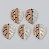 Transparent Resin & Walnut Wood Pendants X-RESI-S389-003A-E01-1