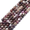 Natural Plum Blossom Tourmaline Beads Strands G-K245-A08-01-1