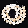 Natural Trochid Shell/Trochus Shell Bead Strands SSHEL-N034-92A-01-2