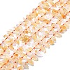 Natural Citrine Beads Strands G-F715-071A-1