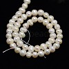 Grade A Natural Cultured Freshwater Pearl Beads Strands PEAR-L001-B-05-3