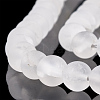 Natural Quartz Crystal Beads Strands G-T106-329-2