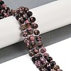 Natural Rhodonite Beads Strands G-H057-A12-01-2