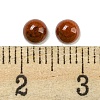 Natural Red Jasper Cabochons G-H309-03-52-3