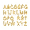 Stainless Steel Charms KK-I352-02G-1-1