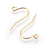 Iron Earring Hooks IFIN-T001-04G-NF-1