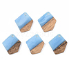 Resin & Walnut Wood Pendants RESI-S389-033A-2