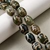 Tibetan Style dZi Beads Strands G-S389-A06-1