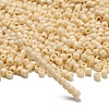 TOHO 6/0 Round Beads SEED-XTR06-0051-2