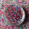 12/0 Glass Seed Beads SEED-R051-01B-3