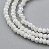 Electroplate Glass Beads Strands X-GLAA-F079-A-AB02-2