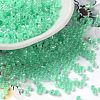 Glass Seed Beads X-SEED-S042-13A-11-1