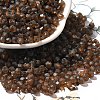 Baking Paint Glass Seed Beads SEED-A032-02A-18-1