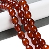 Natural Carnelian Beads Strands G-NH0019-C01-02-4