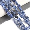 Natural Blue Spot Jasper Beads Strands G-M435-A03-01-2