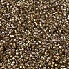MIYUKI Delica Beads SEED-X0054-DB2396-3