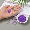 12/0 Glass Seed Beads SEED-A014-2mm-135B-5