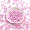 Baking Paint Glass Seed Beads SEED-A032-02S-2