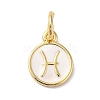 Real 18K Gold Plated Brass Enamel Charms KK-L216-001G-A02-1