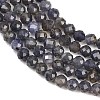 Natural Iolite Beads Strands G-RM250101-D7-3
