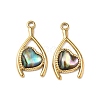 Natural Paua Shell Pendants STAS-G397-13G-02-1