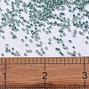 MIYUKI Delica Beads X-SEED-J020-DB0416-4