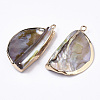 Natural Freshwater Shell Pendants SHEL-R048-08-2