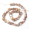 Erose Natural Shell Beads Strands X-PBB071Y-2