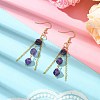 Natural Amethyst Dangle Earrings EJEW-JE06057-2