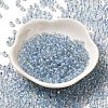 6/0 Transparent Colours Glass Seed Beads SEED-P006-01A-13-2