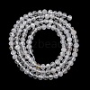 Natural Quartz Crystal Beads Strands G-G188-B10-05-3