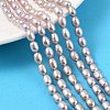 Natural Cultured Freshwater Pearl Beads Strands PEAR-I007-01A-03C-1