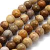 Natural Fossil Coral Beads Strands G-G763-12-10mm-4