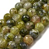 Faceted Natural Fire Crackle Agate Beads Strands G-F447-12mm-J06-1