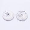 Natural Howlite Pendants G-F524-H03-1