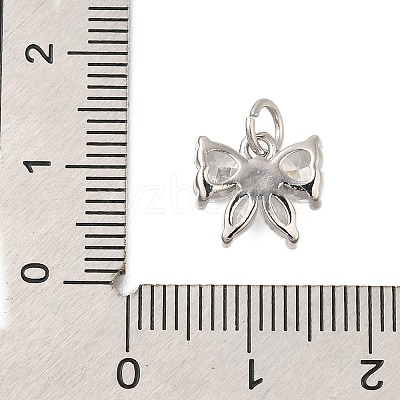 Rack Plating Brass Micro Pave Cubic Zirconia Charms LS-KK-I716-22P-02-1