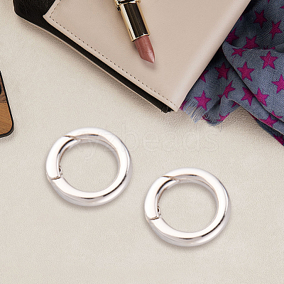 925 Sterling Silver Spring Gate Rings STER-CN0001-43P-1