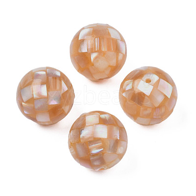 Natural Pink Shell Beads SHEL-N026-189A-01-1